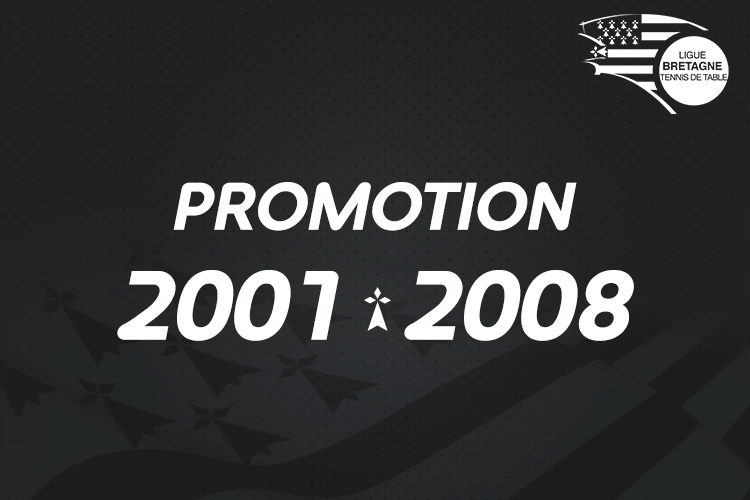 PROMOTION 2001-2008