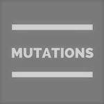 Circulaire administrative 2025/2026 – Mutations